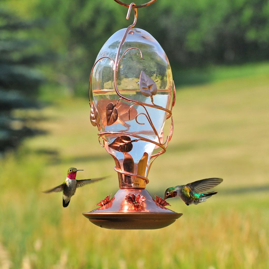 Perky Pet Avant Garden Looking Glass Hummingbird Feeder